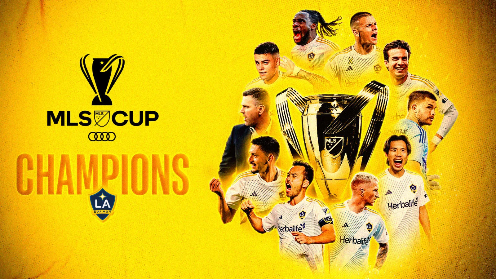 Top 10 Most Successful MLS Teams: Cups and Shields